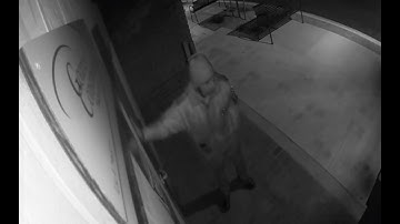 STOPPED by Deep Sentinel #49: Live Guards Protecting Homes & Businesses