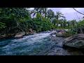 This calming river stream makes me focus so fast, peaceful background ambience for work Everyday Use