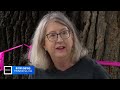 Twin Cities neighbors organize to save historic trees