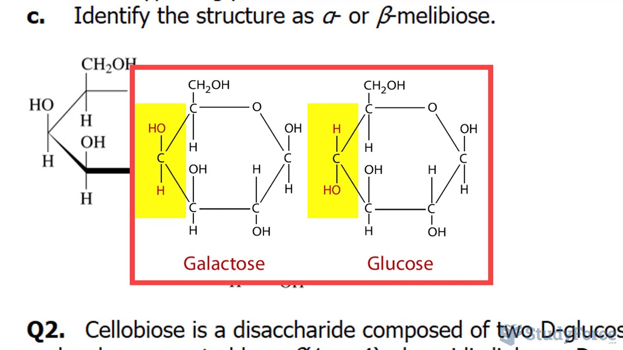 What Type Of Glycosidic Bond Is Shown Here