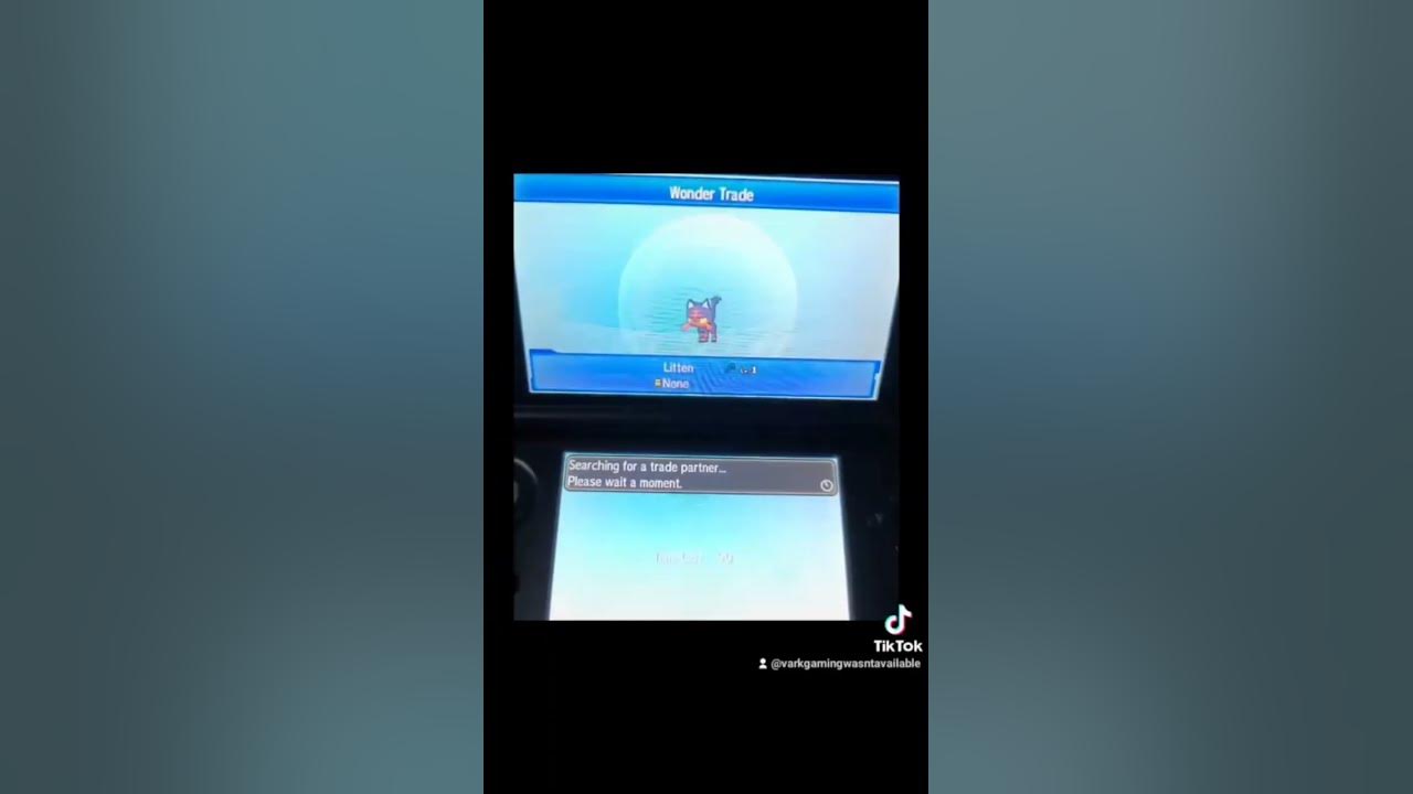 idk-what-i-ll-do-when-the-3ds-can-t-connect-to-wifi-anymore-probably
