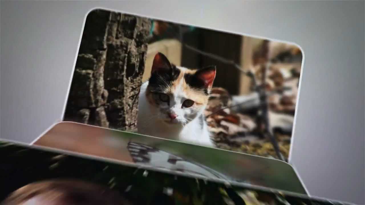 Eget foto på canvastavla. Canvasgalleri.se