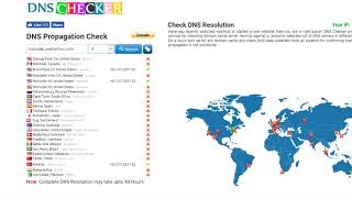 Checking DNS propagation of Website screenshot 2