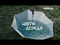 Цветы дождя (Серия 4)