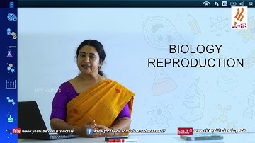 KITE VICTERS Plus Two Botany Class 01 (First Bell-ഫസ്റ്റ് ബെല്‍)