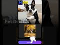 Kitty Dance Party: Generate Funny Dancing Videos from Your Cat Photos Using AI