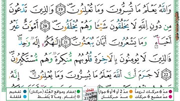 (مكررة) حفظ سورة النحل (04) للقارئ الشيخ محمد سايد