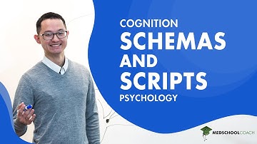 Schemas and Scripts for Cognition