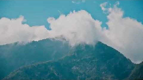 سورة النساء 148 إلى 176 - الشيخ/ محمود بن محمد العبد
