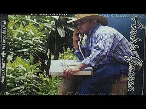 Jose Colmenarez ColmenareZ