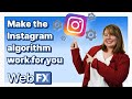 How the Instagram Algorithm Works (and How To Work With It)