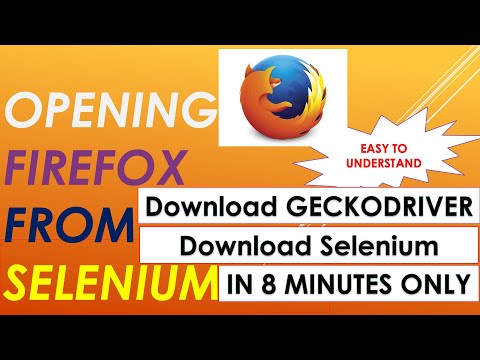Execute Selenium WebDriver