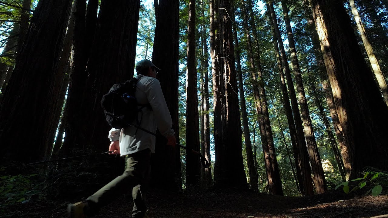8 Mile Spring Day Hike at Mt Madonna County Park