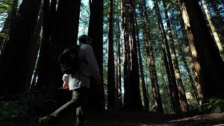 8 Mile Spring Day Hike at Mt Madonna County Park