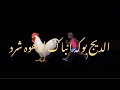 الديج بوكه نباك لو واوي كلاه كرومات شاشه سوداء بدون حقوق