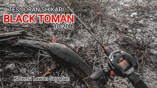 LAWAN SEPADAN 🔥‼️TES JORAN SHIKARI BLACK TOMAN 10-20 LB BIKIN GABUS KENA MENTAL 😂