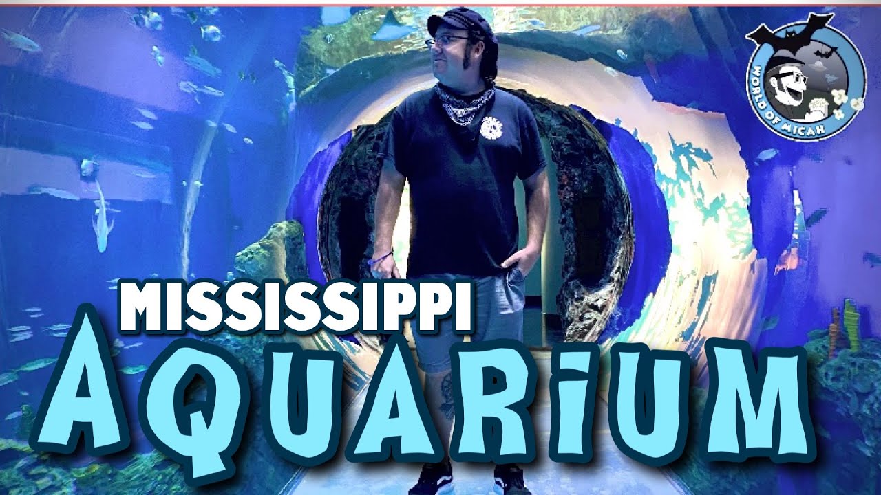 MISSISSIPPI AQUARIUM Gulfport, MS YouTube