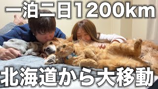 1200kmの大移動を経てやっと家族で住めるようになりました!