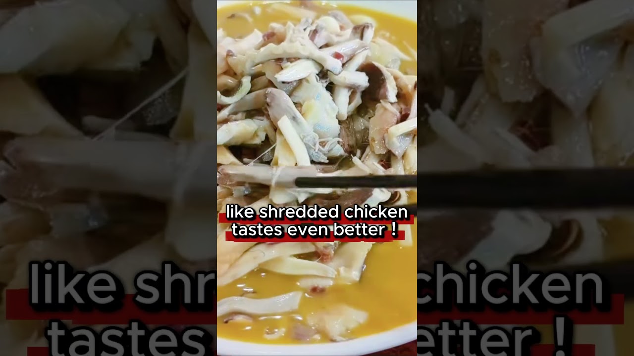 Mushrooms You’ve Never Seen — Only in Yunnan 