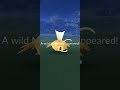 Daily Shiny Magikarp | Pokémon Go