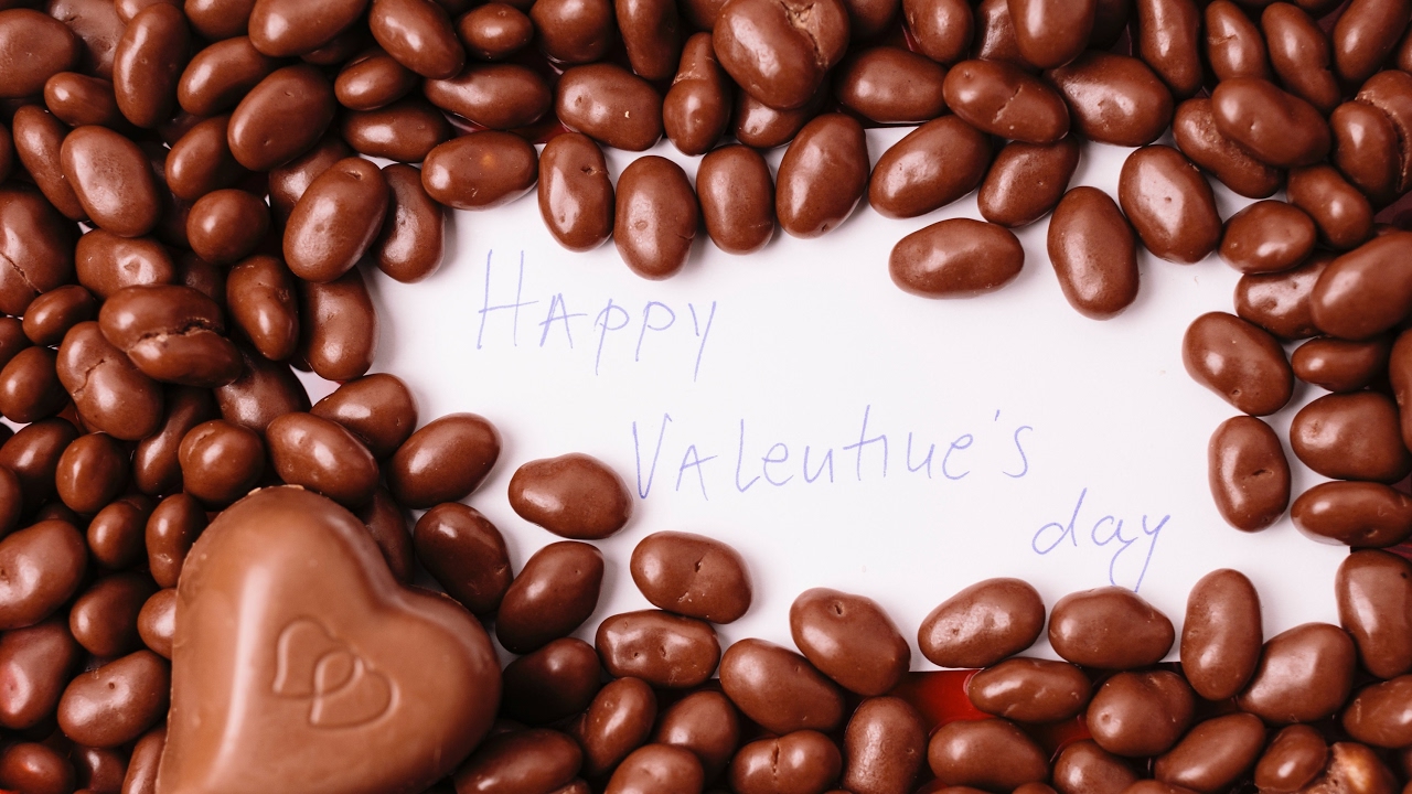 CS217【癒し HEALING】chocoholic (a)