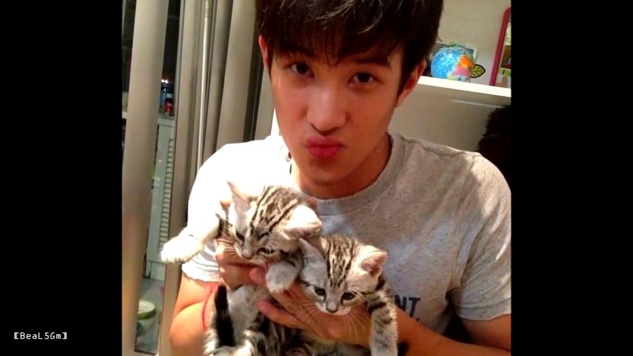 ว่าด้วยเรื่องเหมียวๆ ของ เจมส์ แมว และ มิ้นต์ เมี้ยว