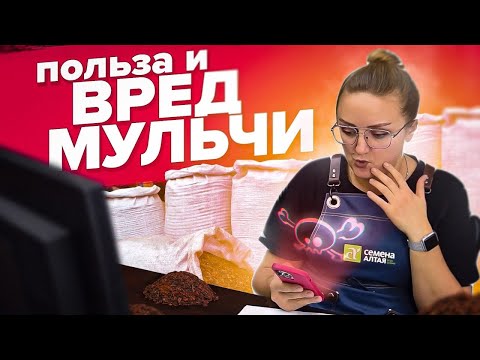 Видео: Использование резиновой мульчи для садов: безопасна ли резиновая мульча