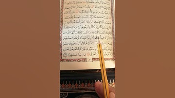تعليم سورة النساء آية 19