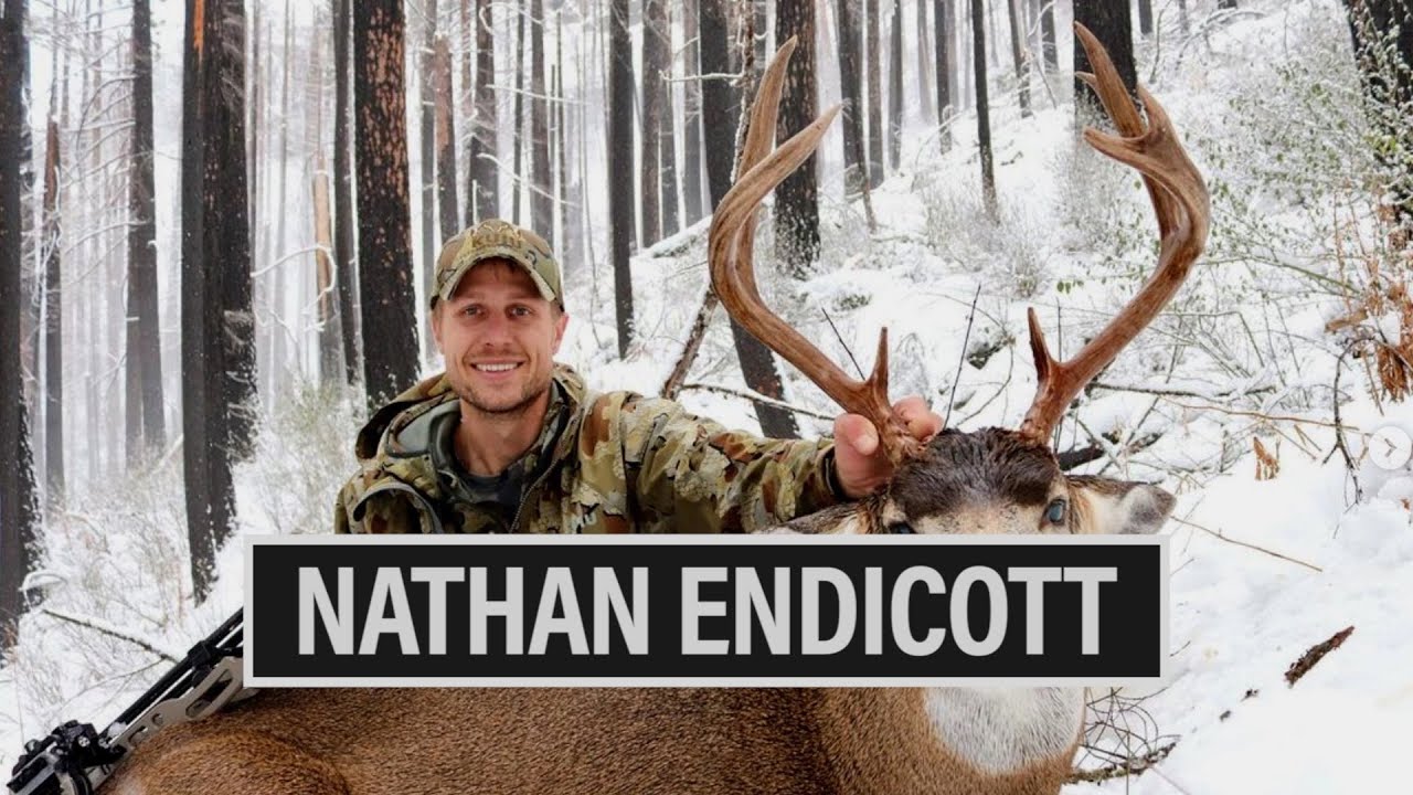 NATHAN ENDICOTT ENDICOTT FILMS 🎙️ GRITTY EP. 789 YouTube