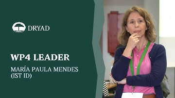 Interview Work Package 4 Leader - María Paula Mendes (IST ID)
