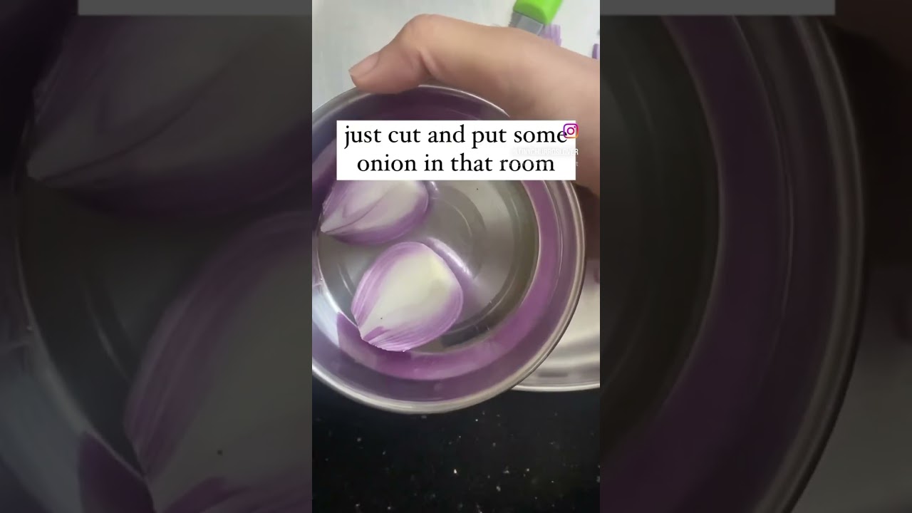 Fresh paint smell hack | painting hack | science backed hack | home hacks | happy home | hack