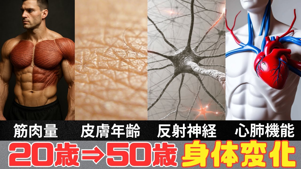 若くなる、50代から40代。もしかすると20代。 若くなる、50代から40代。もしかすると20代。 Explained in a paper] How