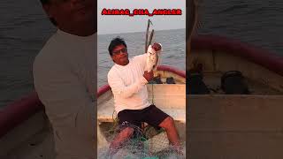 #koli #speedboat #speedboat #nakhwa #yamahamotor #yamahamotor #netfishing #netfishingvideo