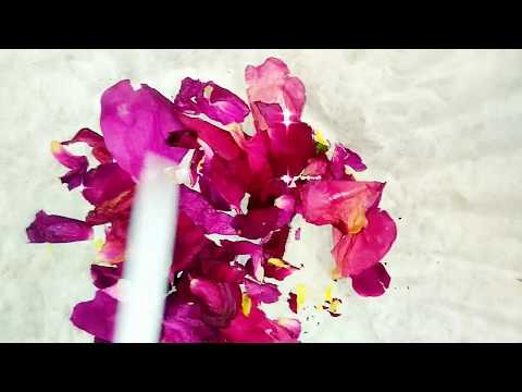 HOW TO DRY ROSE PETALS || 1 MINUTE DRIED ROSE S????