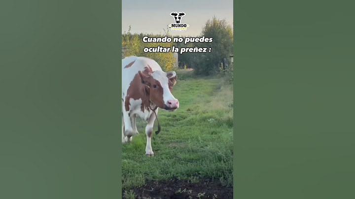 El mayor crecimiento fetal se da en los últimos 3 meses de gestación  #vaca #holstein #veterinaria