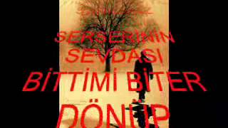 sevme arkadaşş