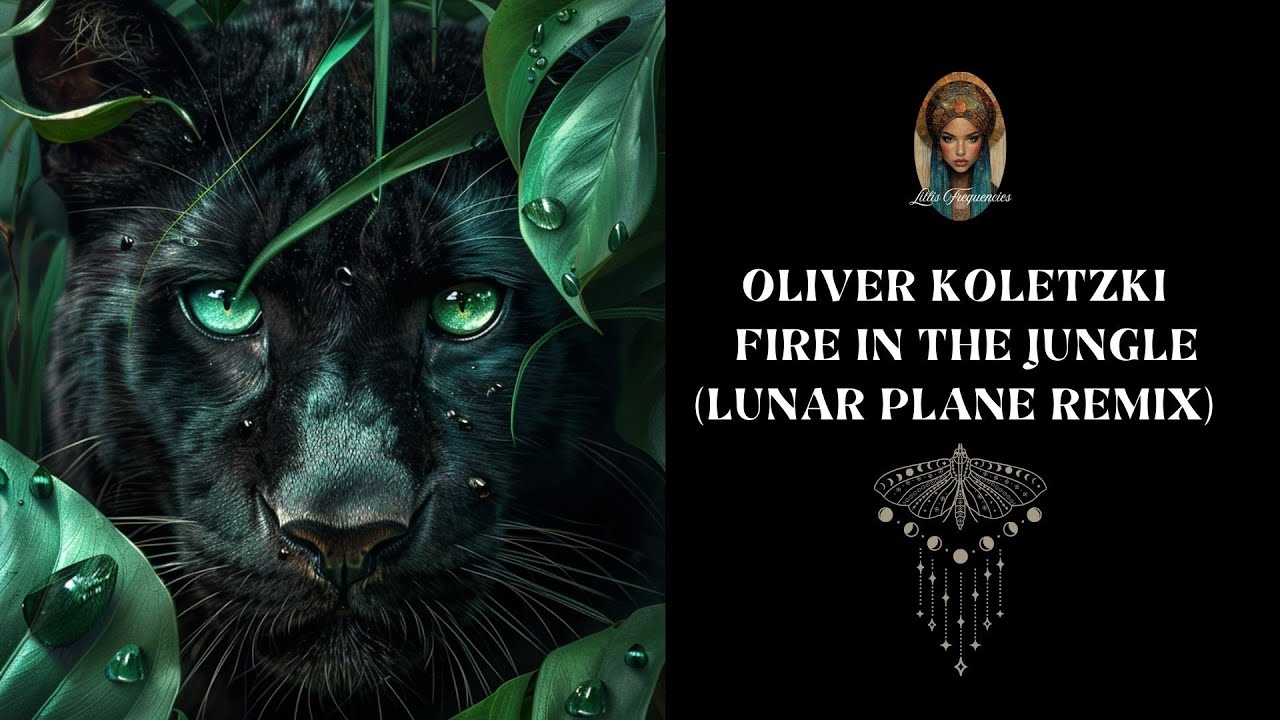 Oliver Koletzki  Fire in the Jungle (Lunar Plane Remix)