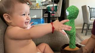 Baby azalea vs cactus😂😂