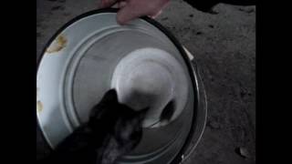 Как я учил кота мышей ловить Как я учил кота мышей ловить