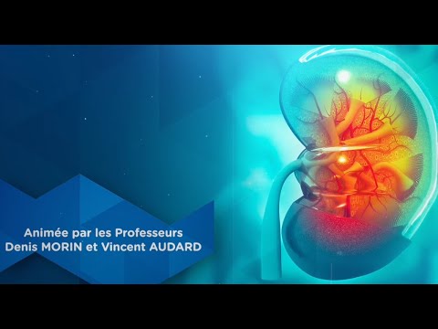 Introduction à la journée