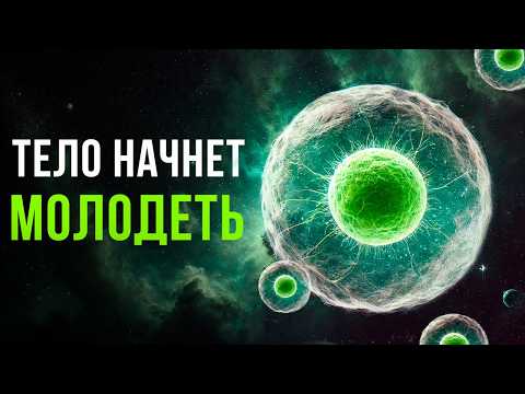 Отмотай ВРЕМЯ Назад!