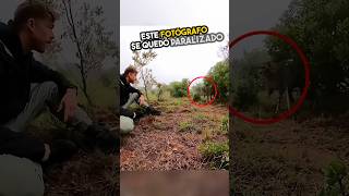 El viaje de este guepardo calentó los corazones 🥹