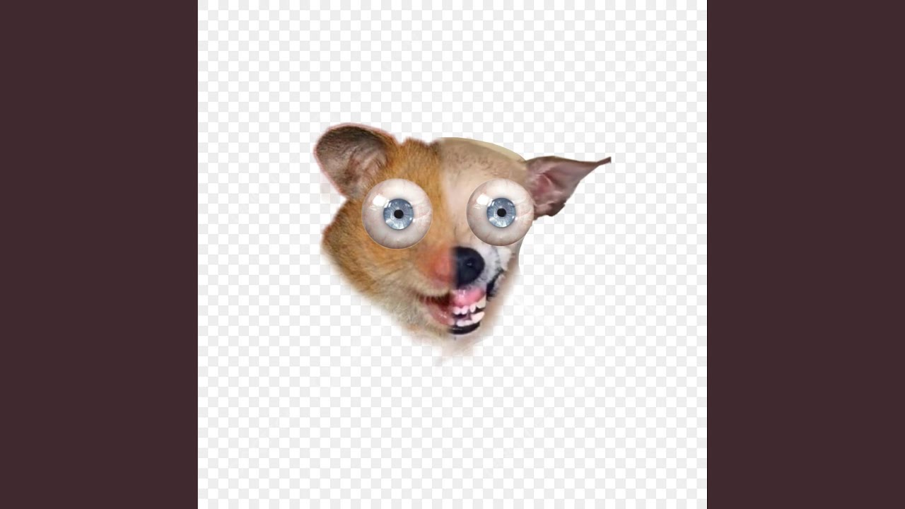 dog adlı videoyu YouTube'da izle dog adlı videoyu YouTube'da izle
