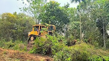 The Perfect Caterpillar D6R XL Dozer Operator Widening Forest Road To Access people