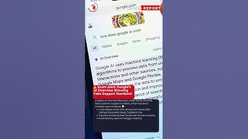 Scam Alert Google’s AI Overview Showing Fake Support