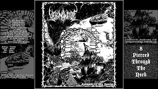 ON054 - Vermintide - Ashamed Of My Species (Death Metal Grindcore Deathgrind Israel Owlripper) @TheOwlripper
