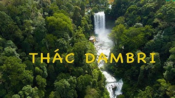 Thác Dambri - Bảo Lộc | Thác Nước Huyền Thoại Giữa Đại Ngàn Tây Nguyên