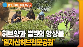 허브천문공원 체험학습장 영상