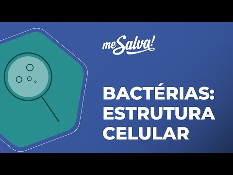 Vídeo: As bactérias podem se mover sem flagelos?