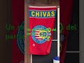 Chivas #ligamx #futbol #chivas #toluca #shorts #soccer